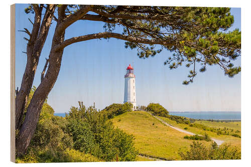 Wood print lighthouse Dornbusch at Hiddensee