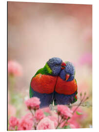 Magnettafel Zwei Allfarbloris