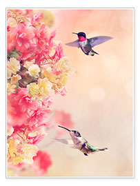 Wandbild  Niedliche Kolibris