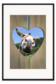 Gerahmter Kunstdruck Lustiger Esel
