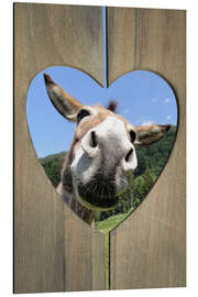 Magnettafel Lustiger Esel