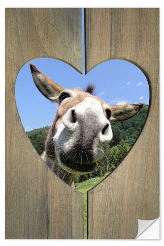 Wandsticker Lustiger Esel