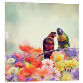 Foam board print Chatting Parrots