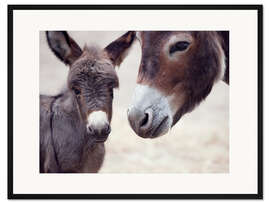 Gerahmter Kunstdruck Baby Esel