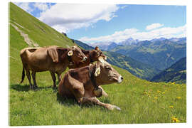Akrylbillede  Cows relax on the mountain