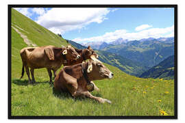 Gerahmter Kunstdruck Kühe entspannen auf der Alm