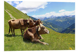 Foam board print Cows relax on the mountain