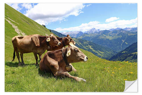 Sticker mural Vaches se relaxant dans les montagnes