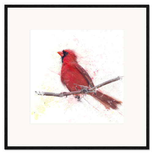 Plakat artystyczny premium w ramie Male Northern Cardinal