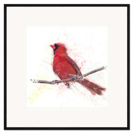 Plakat artystyczny premium w ramie Male Northern Cardinal