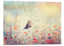 Foam board print Field with wild flowers