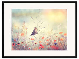 Gerahmter Kunstdruck Feld mit wilden Blumen