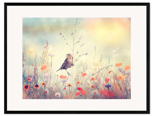 Ingelijste kunstdruk Veld met wilde bloemen