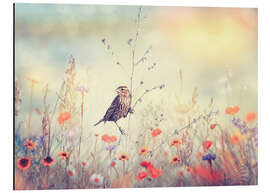 Magnettafel Feld mit wilden Blumen