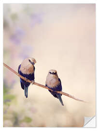 Vinilo para la pared Two Blue Bellied Roller Birds