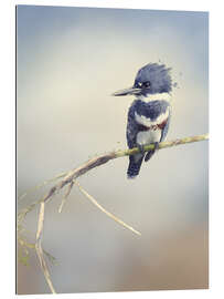 Gallery print Digital Painting Of Belted Kingfisher