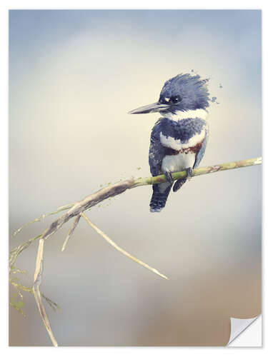 Vinilo para la pared Digital Painting Of Belted Kingfisher