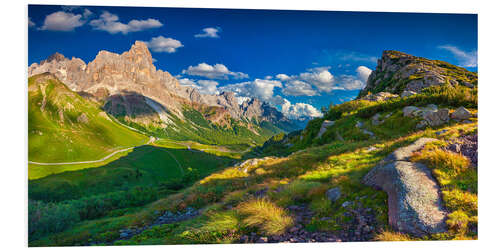 Foam board print Panoramic views of the Pale di San Martino