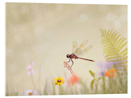 Akryylilasitaulu Liebelle on Colourful Meadow