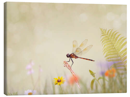 Tableau sur toile Liebelle on Colourful Meadow