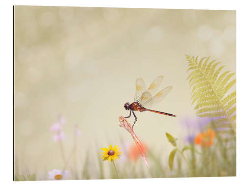 Galleriprint Liebelle on Colourful Meadow