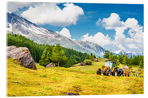 Akrylglastavla Tractor in summer field