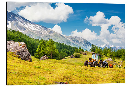 Alubild Traktor auf sommerlichem Feld