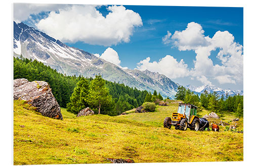 Tableau en PVC Tracteur dans un champ d'été