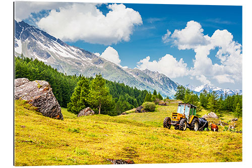 Galleriataulu Tractor in summer field