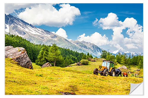 Autocolante decorativo Tractor in summer field