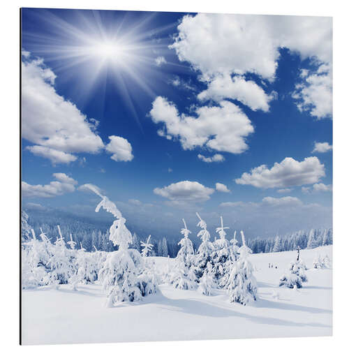 Alubild Winterlandschaft