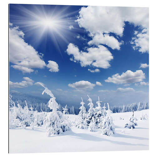 Stampa su plexi-alluminio winter landscape