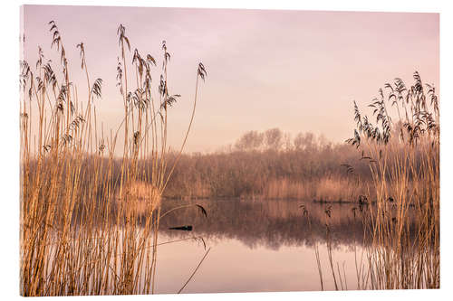 Acrylic print Pastel colored lake