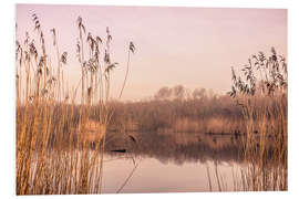 Foam board print Pastel colored lake