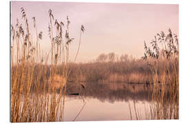 Galleritryk Pastel colored lake