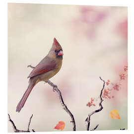 Foam board print Little bird on a branch