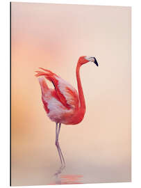 Tableau en aluminium Flamant rose sentimental