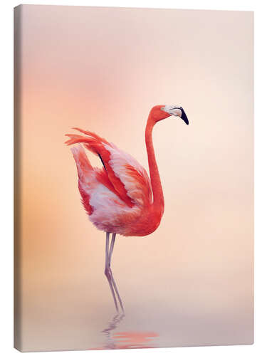 Canvastavla Flamingo Feeling