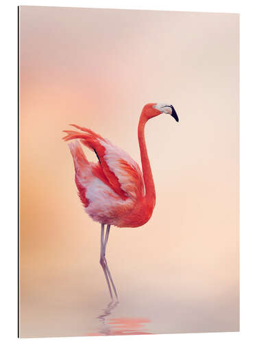 Gallery print Flamingo Feeling