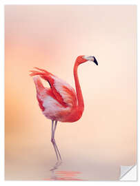 Selvklebende plakat Flamingo Feeling