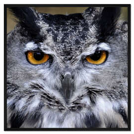 Gerahmter Kunstdruck Großer Uhu
