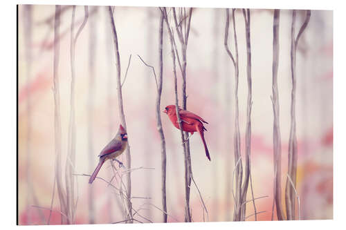 Aluminiumsbilde Two red cardinals