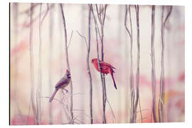 Tableau en aluminium Two red cardinals