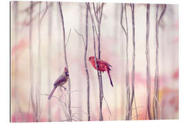 Gallery print Two red cardinals