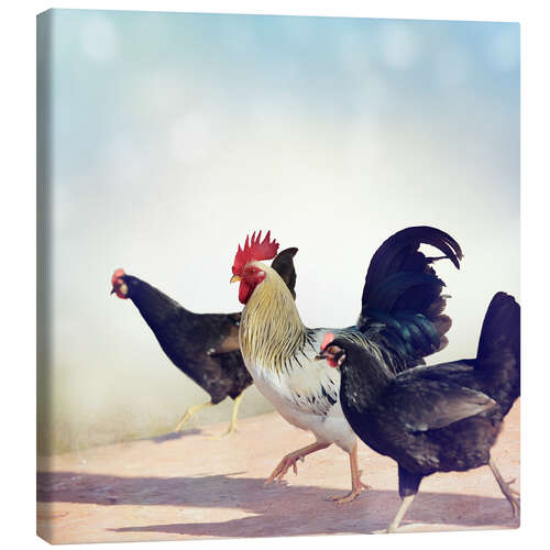 Quadro em tela chicken Parade