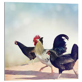 Gallery print chicken Parade