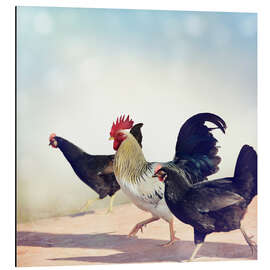 Magnettafel Hühnerparade