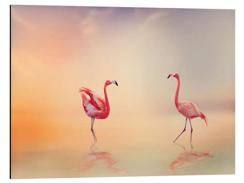 Tableau en aluminium Two Flamingoes in The Lake at Sunset