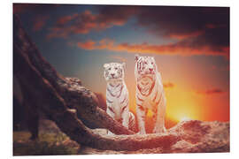 Hartschaumbild Zwei weiße Tiger