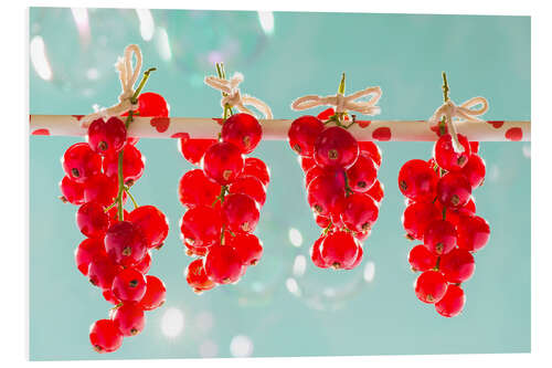 Foam board print Red currants full